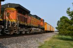 BNSF 4619 Roster shot